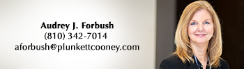 Audrey Forbush Plunkett Cooney Governmental Law Attorney Flint Audrey Forbush Plunkett Cooney Governmental Law Attorney Flint